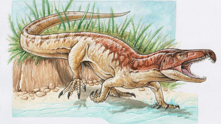 A new species of Triassic crocodile-like reptile has been identified in India