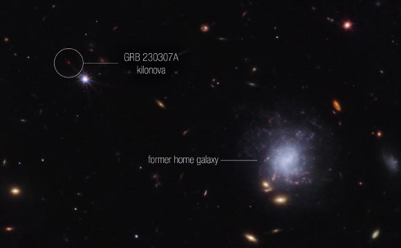 This image from Webb’s NIRCam instrument highlights GRB 230307A’s kilonova and its former home galaxy. Image credit: NASA / ESA / CSA / STScI / A. Levan, IMAPP, Warw / A. Pagan, STScI.