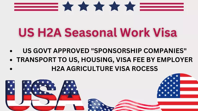 USA H2A Work Visa Process 2024-2025